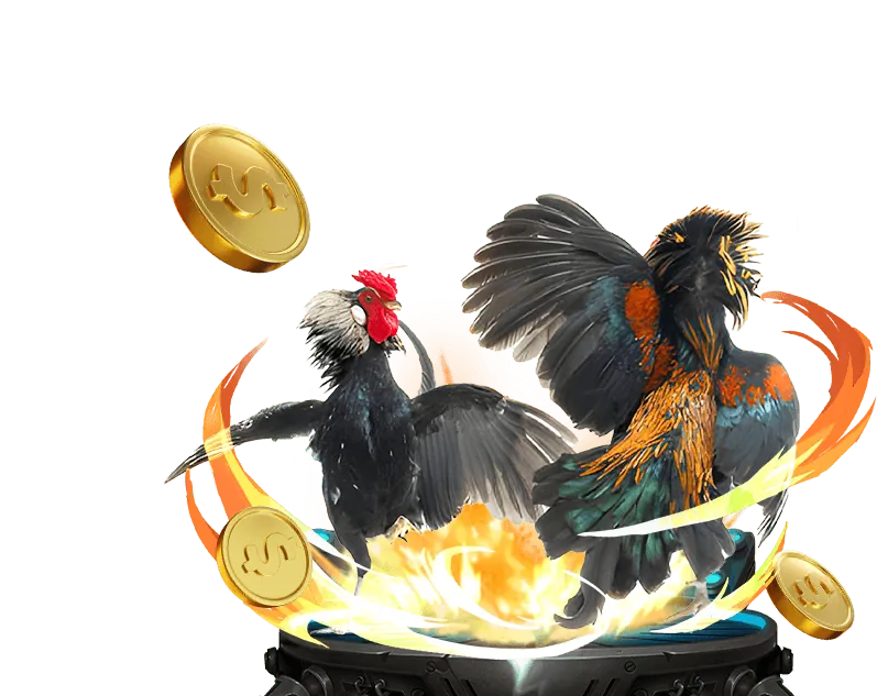 Nhiệm vụ và tầm nhìn của K8